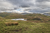 Angletarn Pikes